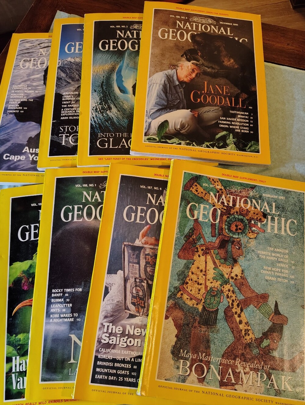 Vintage National Geographic Magazine Lot of 8 -1995/1996 +  8 Unopened Dbl Maps,